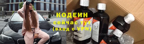 ГАЛЛЮЦИНОГЕННЫЕ ГРИБЫ Белокуриха