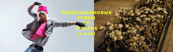 стаф Белоозёрский