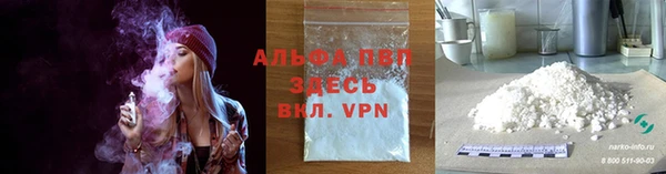 стаф Белоозёрский