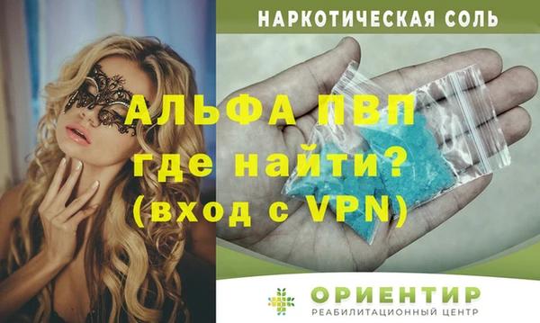 ГАЛЛЮЦИНОГЕННЫЕ ГРИБЫ Белокуриха