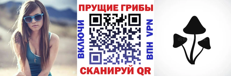 Галлюциногенные грибы MAGIC MUSHROOMS  Горно-Алтайск 